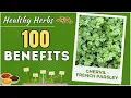 100 Benefits of Chervil - French Parsley Health Benefits of Chervil