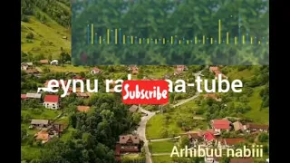 Oromia Nashiidaa Islamic Arhibuu Nabii 