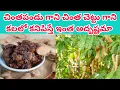 Lagu If you see tamarind in your dream | Chinthapandu kalalo vasthe | Chintha chettu kalalo vasthe || Tamrind tree dream