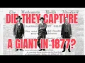 The Jackson County Giant Captured Alive Then Covered Up theculturedbumpkin