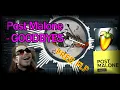 Post Malone Fl studio - POST MALONE GOODBYES