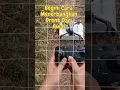 Lagu Cara menerbangkan drone dari awal#shorts