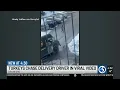 UPS driver chased by turkeys while delivering package in Connecticut