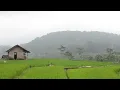 Download Lagu MUSIK RELAKSASI PAGI DI IRINGI DENGAN SUARA BURUNG DAN AIR MENGALIR