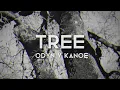 Odyn v Kanoe (Один в каное) - Tree (Дерево) LYRICS + ENG SUB