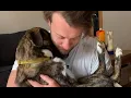 Download Lagu Rescue dog is obsessed with dad