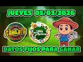 LOTTO ACTIVE AND LA GRANJITA DATA FOR TODAY 2026 - Your Fixed Data