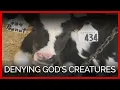 Download Lagu Denying God's Creatures