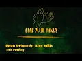 Eden Prince ft. Alex Mills - This Feeling