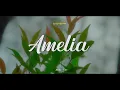 Lagu Amelia_Dj Qhelfin (Official Video Music)