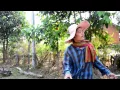 หมานอนขี้เถ้า วงสไบ เซราะกราวเร็คคอร์ด {OFFICIAL MV}