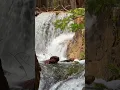 Download Lagu Terapi Suara: Derasnya Air Terjun untuk Ketenangan yang Mendalam #air terjun #asmr