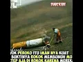 Download Lagu Histori wa rokok
