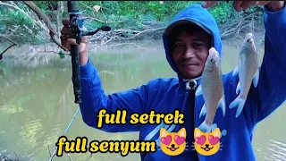 Download INILAH YG DI CARI PEMANCING||SEPOT FULL GACOR @pemancingkampungkpnew-jp8dk MP3