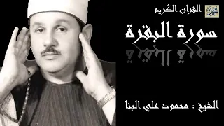 البقرة