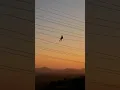 evdeki saat - fark etmeden (slowed)