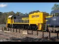 CLP9 and C510 on the AK Cars Watco X37 Transfer Seymour Tallarook - 26