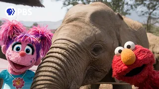 Sesame Street and the Great Elephant Adventure | PBS Nature Trailer