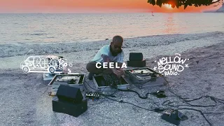 [15 min Viny Set RcRc.] DJ CEELA  (Reggae / Dub)