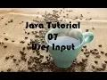 Java Tutorial 07 - User Input