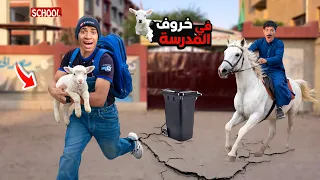 لما اخوك الصغير ياخد بيبي خروف معاه المدرسه     علاء حسين  دندنها