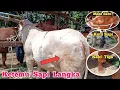 Ketemu Sapi Langka Di Pasar‼️ Mata Satu, Kaki Tiga, Kutil Sapi. Pasar Hewan Gondanglegi Malang #sapi