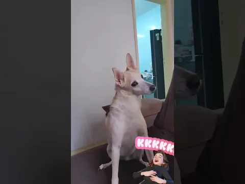 Esperto que só 🤭