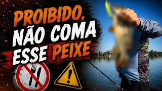 PESCAMOS O PEIXE PROIBIDO DE COMER