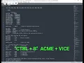 Sublime Text ACME Cross-Assembler VICE C64 Debugger windows