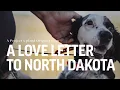 Upland Bird Hunting North Dakota - Tyler Webster of Birds Booze and Buds Podcast