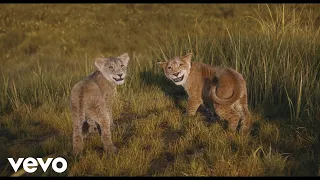 Moi qui rêvais d'avoir un frère (De "Mufasa: Le Roi Lion")