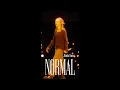 NORMAL Korean Ver Stage CAM Jimin focus BTS WORLD TOUR ARIRANG IN BUSAN