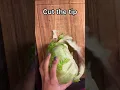 Lagu How to cut Iceberg for Salad / Perfect way to chop iceberg nicely 😍