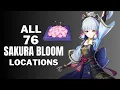 All 76 Sakura Bloom Locations - Efficient Farming Route - ayaka ascension materials I Genshin Impact