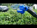 Have a look at the Kobalt 40v Max Pole Hedge Trimmer from Lowe s
