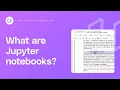 What are Jupyter Notebooks AI Programming with Python
