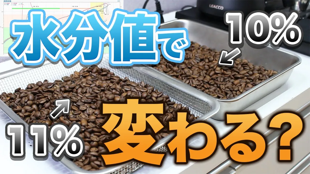 【焙煎検証】コーヒー生豆の水分値が違うと焙煎はどう変わるのか？｜10%と11%を比較【コーヒー】