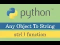 Python Str Function - Convert Any Object To String
