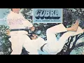 RARE | COBRA (1980) | Somdev Kashyap | O Sathi Re | Anwar & Asha Bhosle | Vinyl Rip
