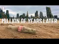 If All Humans Vanished How Long Until Earth Erased Every Trace Of Us