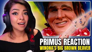 BASSIST Listens To Primus - Wynona s Big Brown Beaver For The First Time REACTION
