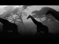 Health + Filter - Free To Die - Unofficial Fan Music Video