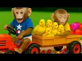 Download Lagu Bebé Mono ZinZin va a pescar y come rica sandía arcoíris en casa - MONO ZINZIN ESP 🐵🐵🐵