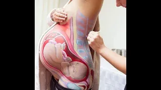 Breast Painting | Body Art | Body Painting | Hot Painting | Hot Body Painting | Tattoo Designs e-11