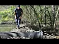 What s a Beaver Dam Flow Device
