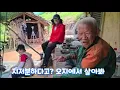 Download Lagu Het interieur van de kamer van de oude man in Gulpijip is het leven in de wildernis zelf~