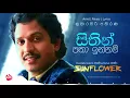 Download Lagu SITHIN PATHA INNAM | KUMARASIRI PATHIRANA with Sunflower