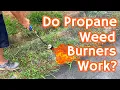 We Tried a PROPANE WEED BURNER To Get Rid of NUISANCE PLANTS - It Wasn t As Great As We Hoped