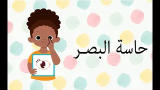 حاسة البصر 