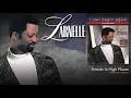 Larnelle Harris - Friends In High Places